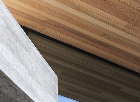 Bendemeer House Thumbnail 2